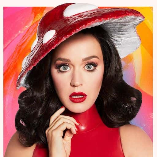 Katy Perry in Charlotte