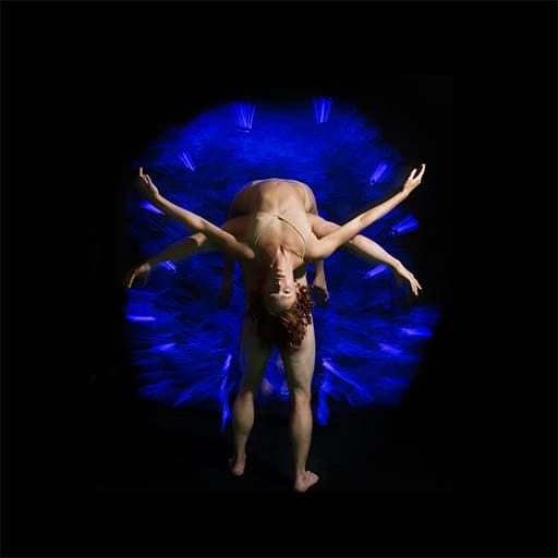 Pilobolus Charlotte Tickets