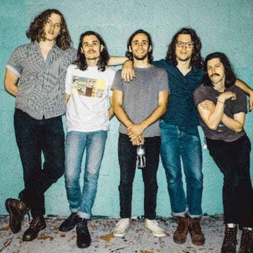 Post Animal in Charlotte